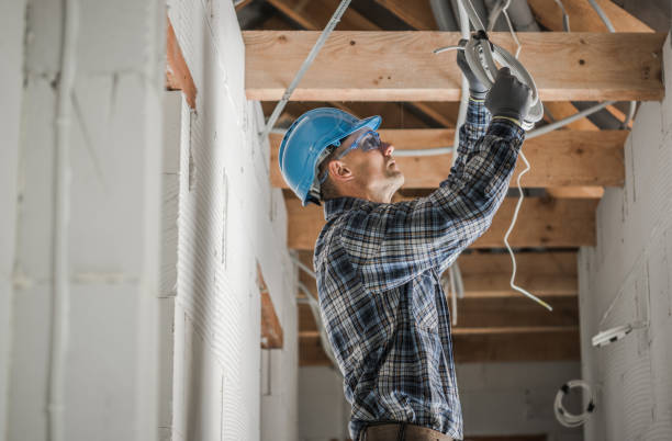 Best Electrical System Inspection  in Tallapoosa, GA