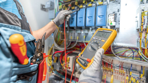Best Local Electrician Companies  in Tallapoosa, GA